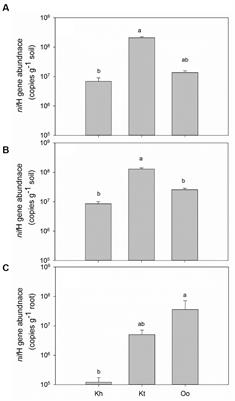 Diazotrophic abundance and community structure associated with three meadow plants on the Qinghai-Tibet Plateau